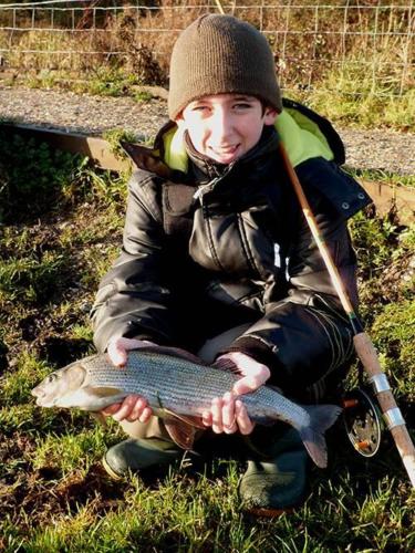 CONNOR'S GRAYLING